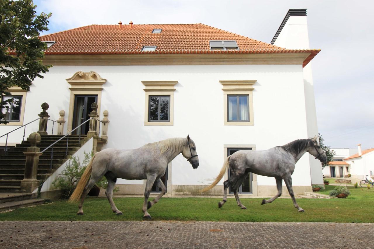 Villa Quinta Da Aldeia De Avanca Exterior foto